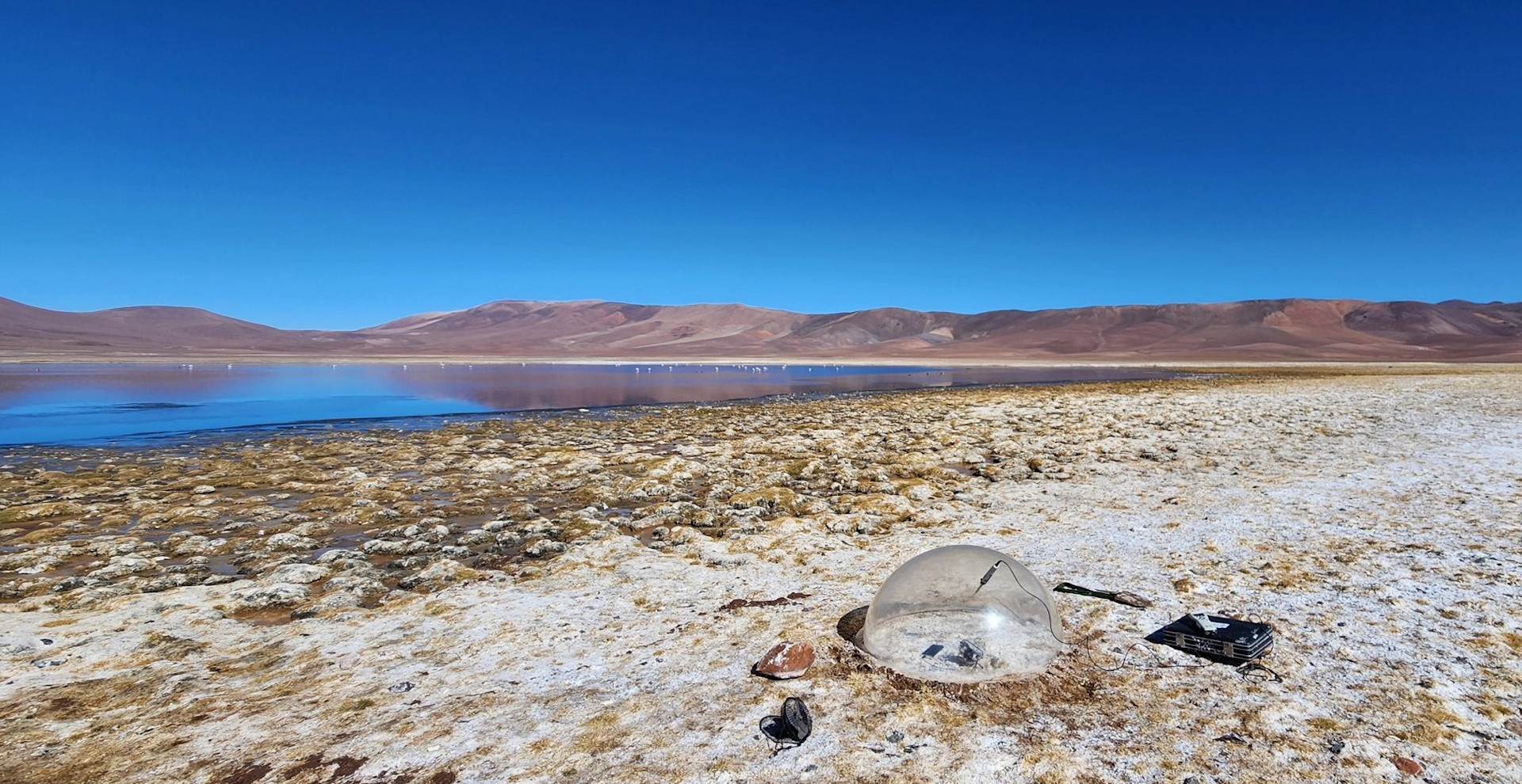 Caracterización hidrogeológica de Laguna Altiplánica en el norte de Chile