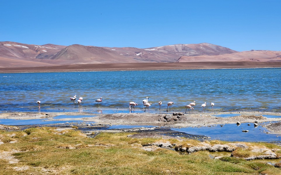 Caracterización hidrogeológica de Laguna Altiplánica en el norte de Chile