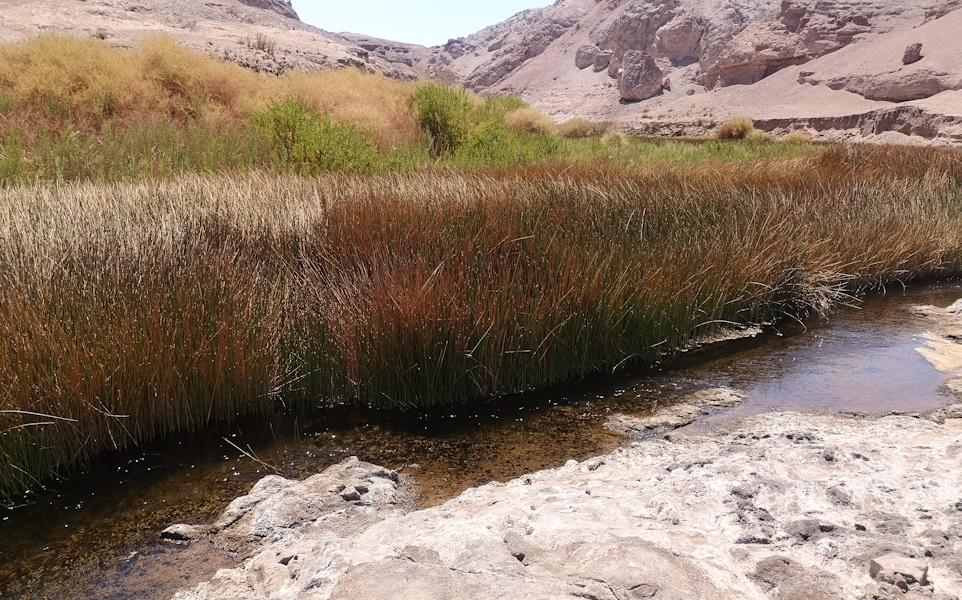 Caracterización hidroquímica, hidrodinámica y limnológica del río Loa.