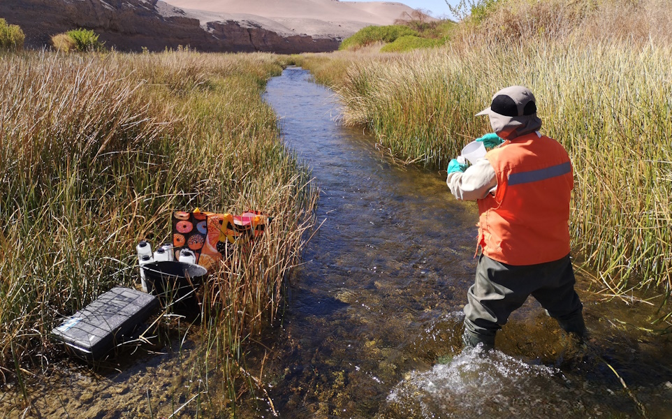 Caracterización hidroquímica, hidrodinámica y limnológica del río Loa