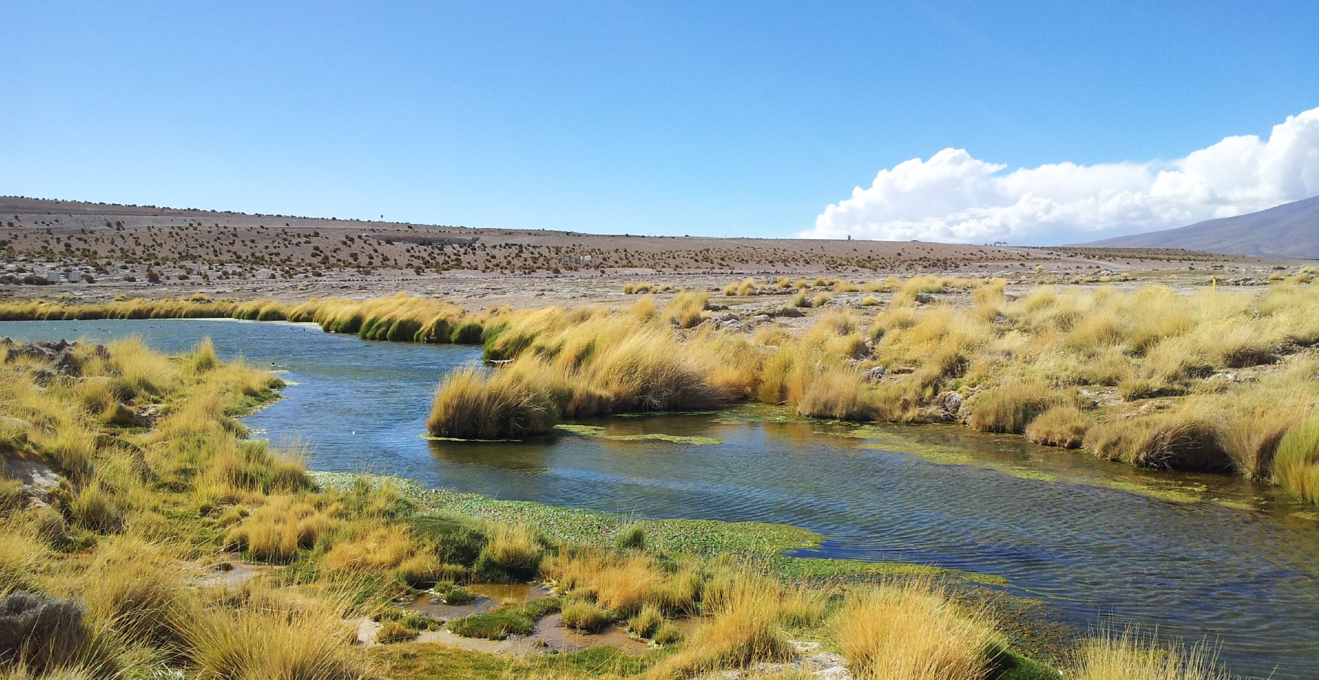 Evaluación de daño ambiental en agua subterránea y superficial.
