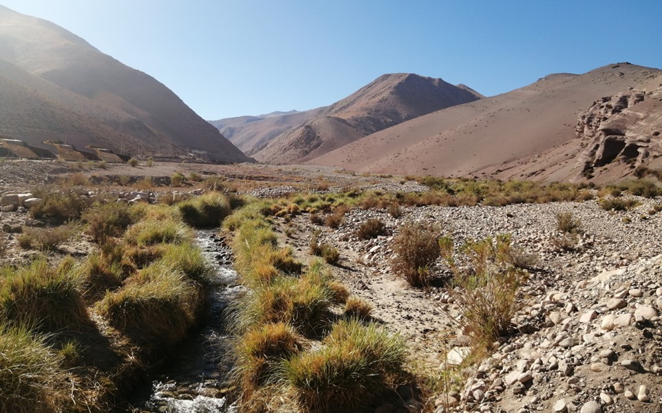 Análisis del Daño Ambiental en Agua y Componentes Bióticos