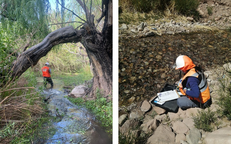 Análisis del Daño Ambiental en Agua y Componentes Bióticos