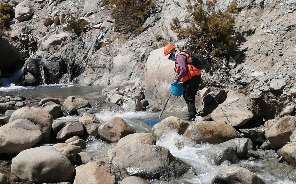 Análisis del Daño Ambiental en Agua y Componentes Bióticos