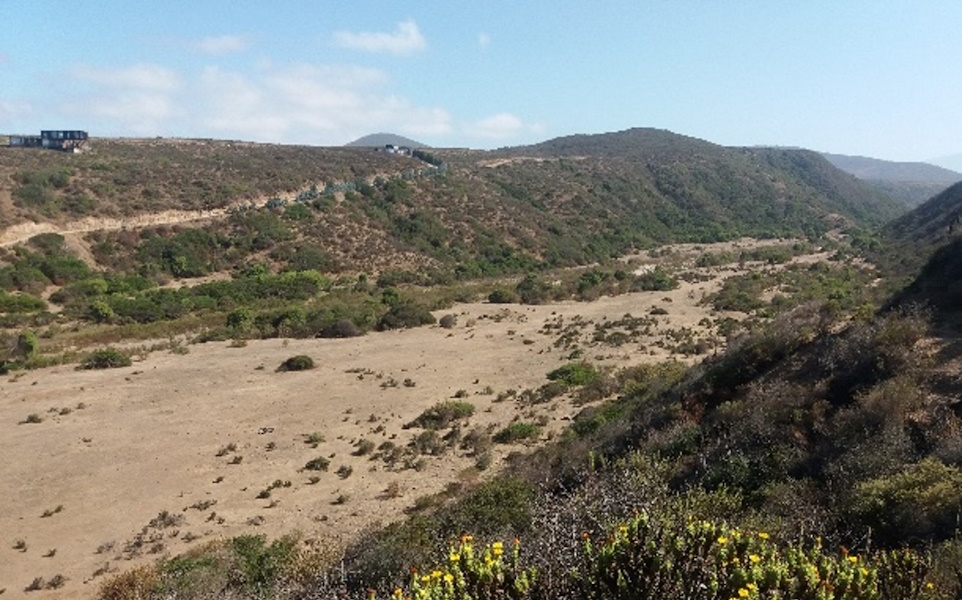 efectos de bombeo de agua subterránea sobre humedal costero de Pichicuy.