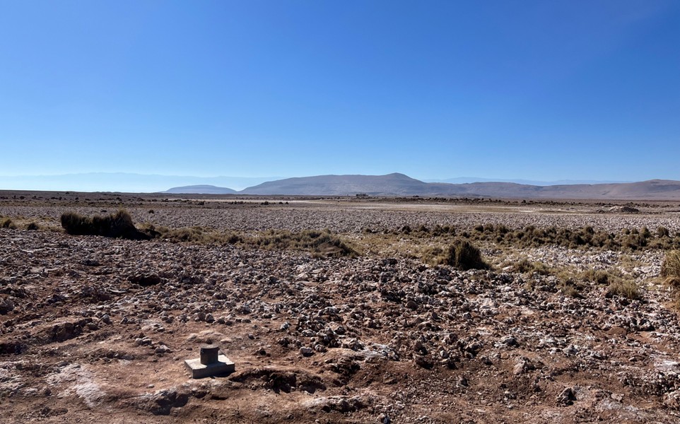 Ecosistemas Salinos del Norte Chileno: Diez Años de Monitoreo y Rediseño.