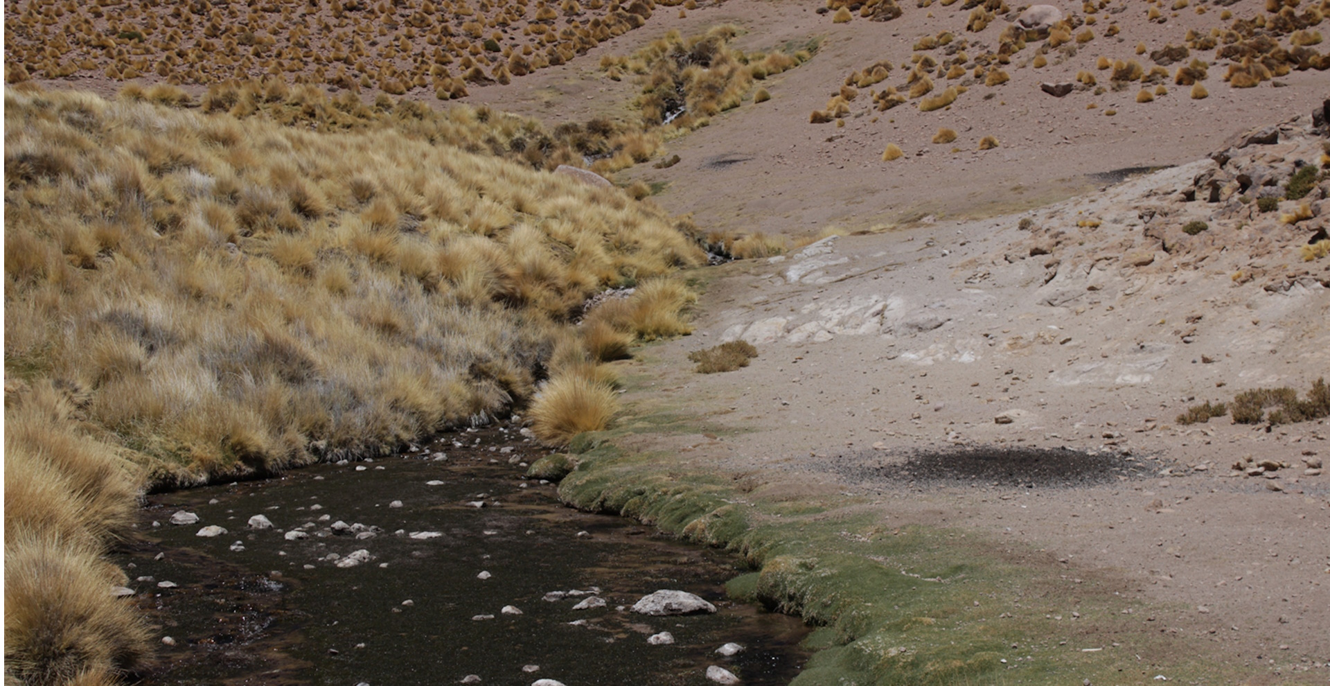 Desarrollo de modelos numéricos para evaluar de interacción entre agua y salmuera subterránea y ecosistemas dependientes .