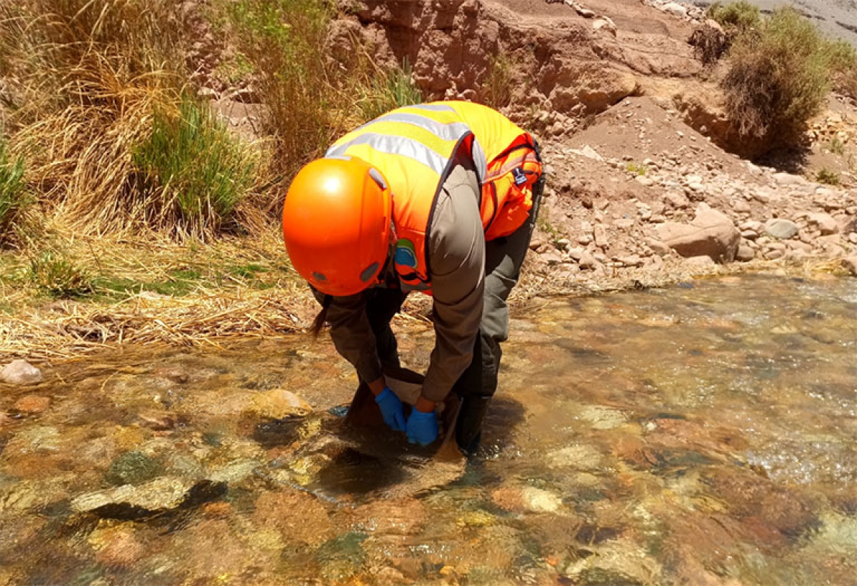 Evaluación de daño ambiental en agua subterránea y superficial.
